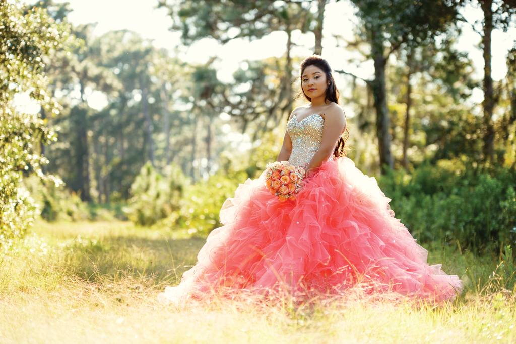 We stock with the best brands of Quinceanera Dresses. 